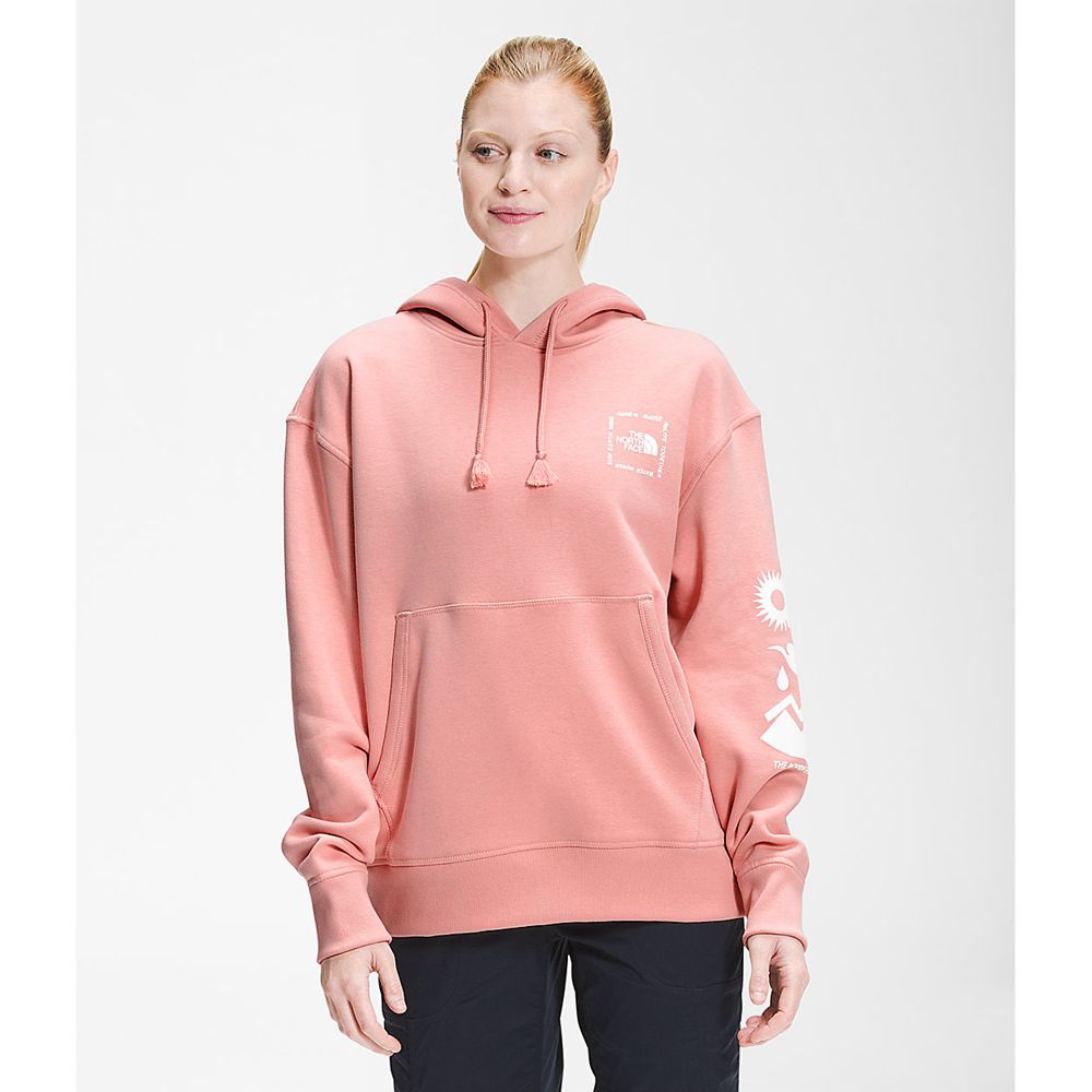 The North Face Hoodie Womens Australia - The North Face Himalayan Bottle Source Pullover Rose (HDU-7